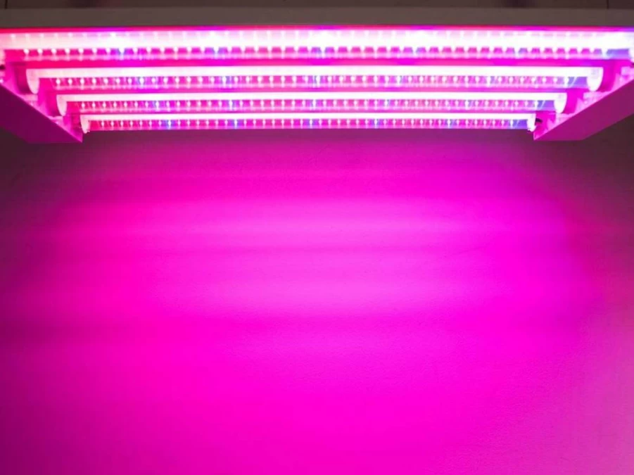 Feit Electric 60W LED Grow Light for Indoor Plants, 2Ft Selectable Spectrum Quad Light, Hydroponic Gardening, GLP24ADJS/60W/LED