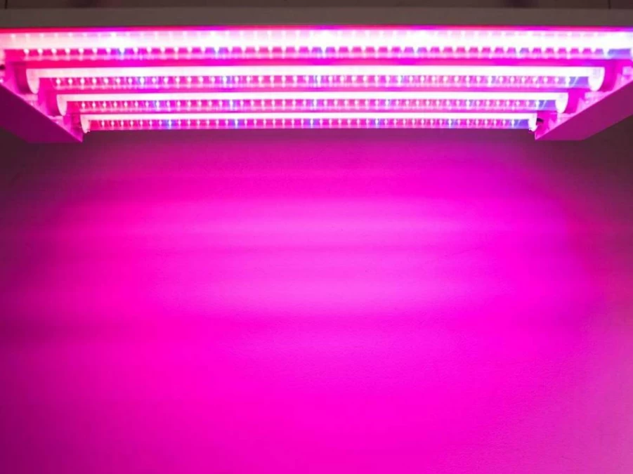 Feit Electric 19W LED Grow Light for Indoor Plants, 2Ft Full Spectrum Dual Bulb, Energy Efficient Plant Light GLP24FS/19W/LED for Gardens