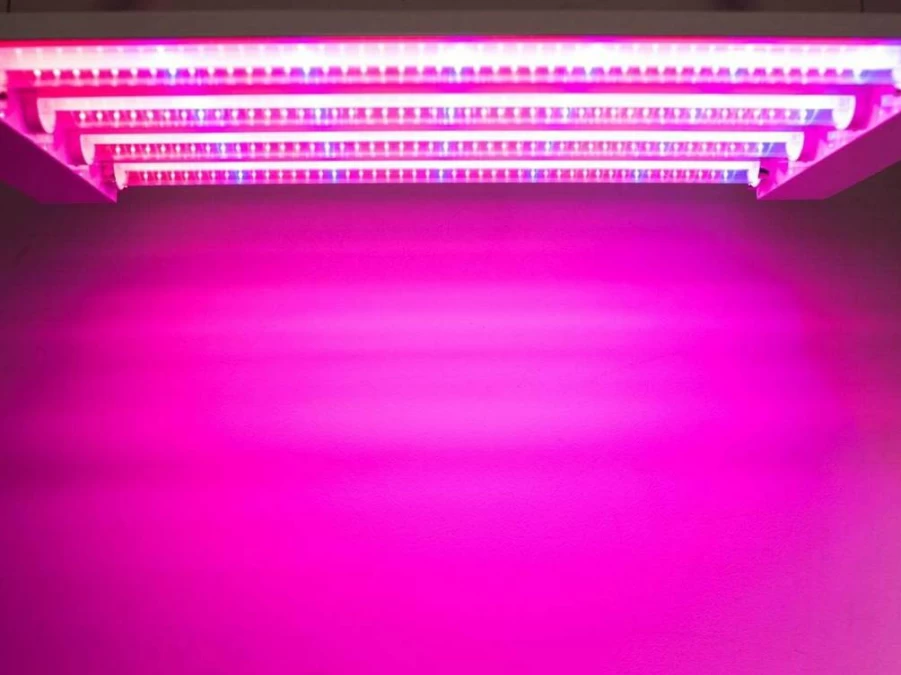 Feit Electric 19W LED Grow Light for Indoor Plants, Full Spectrum Dual Hanging Bulb, Hydroponic Gardening, 2Ft Plant Light GLP24ADJS/19W/LED