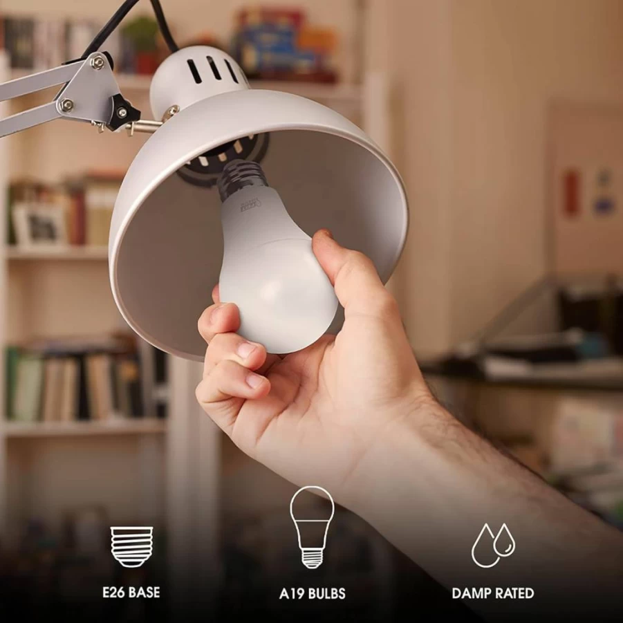 Feit Electric A21 LED Light Bulb 200W Equivalent 3050 Lumens 5000K Daylight E26 Base Non-Dimmable Damp Rated 22-Year Lifetime High Output Energy Efficient